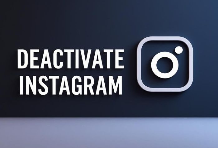Phone screen displaying Instagram deactivation page with a blurred background, featuring the Likeprovider.net logo at the bottom.