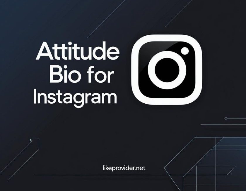 Dark-themed mobile profile mockup showcasing an attitude bio for Instagram, with the likeprovider.net branding at the bottom.