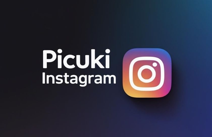picuki viewer tool interface with Instagram logo and analytics graphics